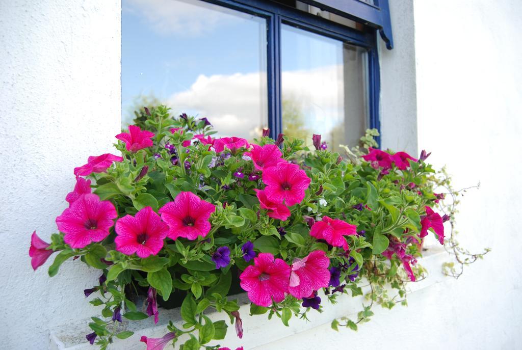 Old Killarney Cottages Exterior foto